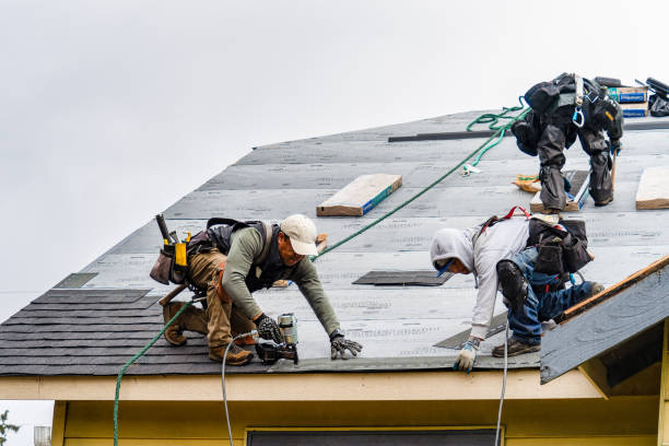 Professional Roofing technician working in Billings, NY
